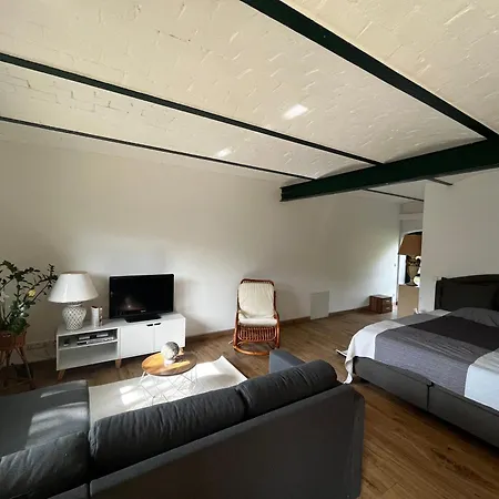 Appartement Goldnebel